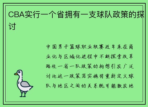 CBA实行一个省拥有一支球队政策的探讨